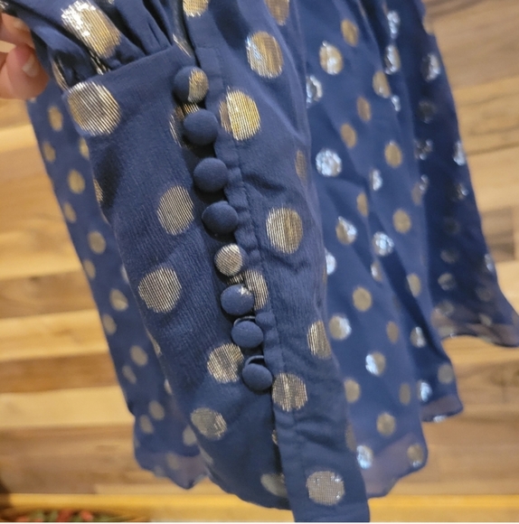 NWT Saloni Metallic Polka Jacquard Dress Silk Tania Mini Chiffon Size 2 Designer - Picture 9 of 16